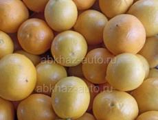 Куплю лимон 