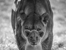 Выполняем строительно-отделочные роботы 