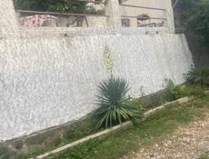 Частный дом