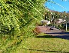 Срочно продается 4 соток земли 