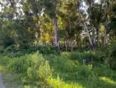 Продается земельный участок 4 га