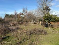 Продаётся земельный участок, район Аэропорта 1,3га земли подойдёт под любую коммерческую организацию строительство коттедж, или гостиницу участок ровный , со всеми документами очень срочно