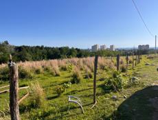 Участок Ачадара (Лечкоп) 6 соток