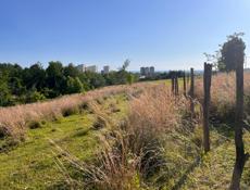 Участок Ачадара (Лечкоп) 6 соток