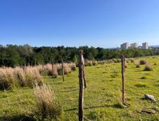 Участок Ачадара (Лечкоп) 6 соток