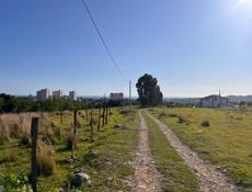 Участок Ачадара (Лечкоп) 6 соток