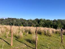 Участок Ачадара (Лечкоп) 6 соток