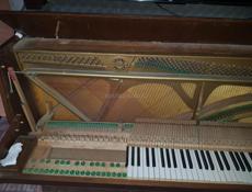 музыкальных инструментов 