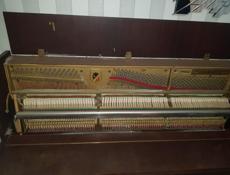 музыкальных инструментов