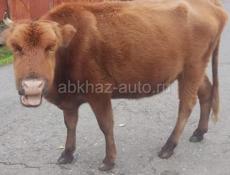 Отделиться должна в марте 