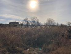 Цандрипш 15 соток 