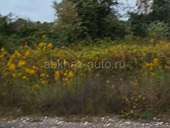 Цандрипш 8 соток 