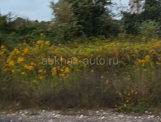 Цандрипш 8 соток 