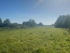 Колхида, 76 соток,800 м до моря 