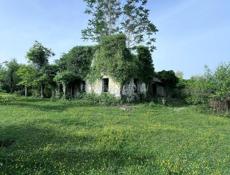 СУХУМ-50-СОТОК 