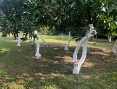 Срочная продажа 