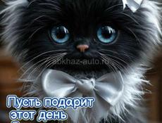 Продаю бычка 65-70кг