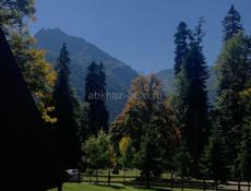 Сниму квартиру 