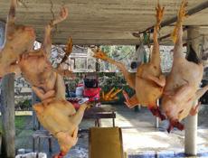 Продаю чищеные домашние куры 