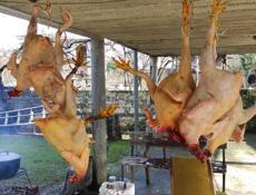 Продаю чищеные домашние куры 