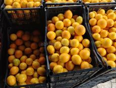 Лимоны и Мандарины