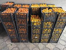 Лимоны и Мандарины