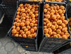 Лимоны и Мандарины