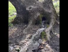 Продаются новые цветочные горшки для комнатных растений!!!