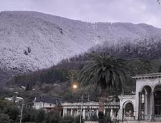 Возьму в аренду гостевой дом 🏡