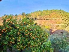 УЧАСТОК 4,3 СОТКИ С ВИДОМ НА МОРЕ И ГОРЫ В ЦАНДРИПШЕ 