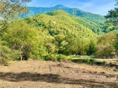 УЧАСТОК 24 СОТКИ ПО ДОРОГЕ НА ОЗ. РИЦА