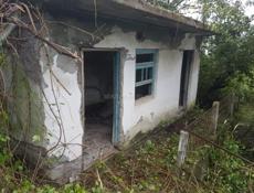 Срочно горю