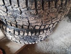 Шины шипованные