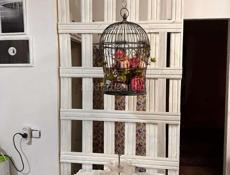 Продам домик в центре г. Сухум