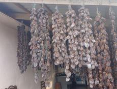 Продаю сушёную хурму по 400р писать звонить по этому номеру +79409982782