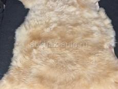 Ковёр из шкуры горного ягненка