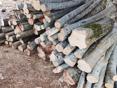 Дрова 