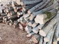 Дрова 