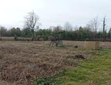 Село  Дранда