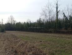 Село  Дранда