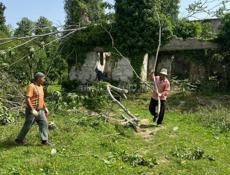 СУХУМ-50-СОТОК 