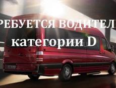 Требуется водитель категорий D