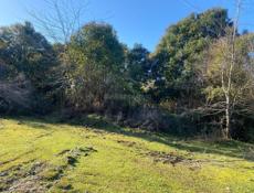 Участок 50 соток Очамчырский район 