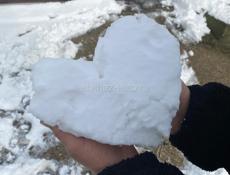 Сниму длительно квартиру, дом 