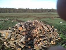 ПРОДАЮ ДРАВА АЛЬХА ПИЛИННЫЕ НА ПЕЧКУ 