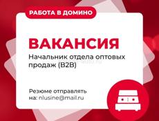 Вакансия: Начальник отдела оптовых продаж (B2В) Резюме отправлять на: nlusine@mail.ru ! Внимание: кандидаты без опыта работы и без резюме не рассматриваются.