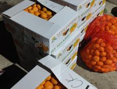 Куплю мандарины , апельсин , лимон по адекватной цене 