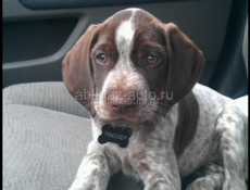 Приму в дар 