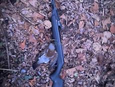 Купльу ружё ид 18 одностволка в хорошом состоянии 