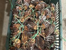 Сушенная хурма(бычье сердце)